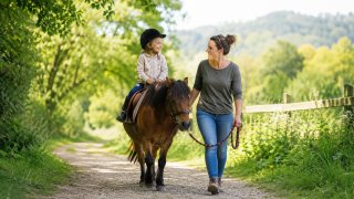 Balades à poney