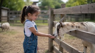 Ferme pédagogique